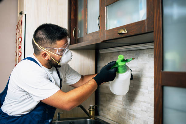 Best Cockroach Control Services  in Dover, OH