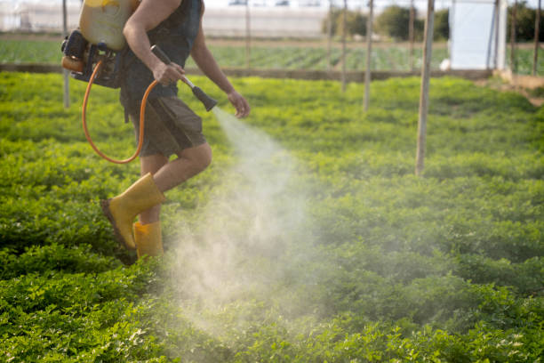 Pest Prevention Services in Dover, OH
