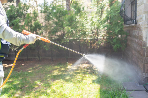 Best Mosquito Control Services  in Dover, OH