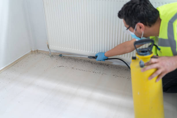 Best Best Pest Control Companies  in Dover, OH